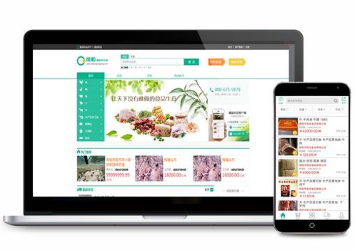 互联网数据的杠杆 冷冻食品批发网站的数字化转型与未来图景